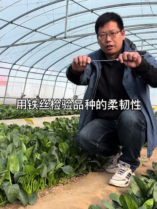 #优质农产品