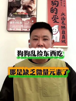 你家狗狗也会乱吃东西吗 #养狗人 #养狗经验分享 #养狗小知识 #养狗必备 #宠物维生素