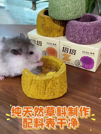 让鼠鼠不再啃笼子的塔塔磨牙碗!赶紧来看看!#萌宠出道计划 #仓鼠 #金丝熊 #养鼠日常分享 #仓鼠磨牙