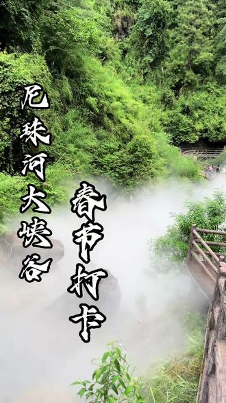 春节假期又给你们找到一个好去处 风景绝了!!!!!!#旅行推荐官 #风景名胜 #秀出家乡美 #尼珠河大峡谷 #蹦极 (广告)