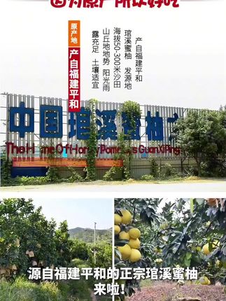 #柚子 #抖音助农扶农 #应季水果