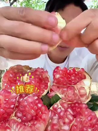 正宗蒙自绿籽石榴高山老树水晶现摘现发硬籽果园云南正宗特产包邮#水晶石榴 #石榴 #硬籽石榴 #新鲜水果 #绿籽石榴