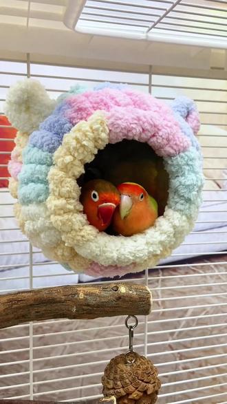 鹦鹉保暖棉窝,手工编织,加厚保暖#棉窝 #鸟窝