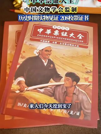 208枚,涵盖全国30个省市地区数十个品类,包括衣食住行各方面的票证,如地方粮票、布票、肉票、油票等,还有全国粮票、生活类票证、关门票、语录票、文革票、荧光票等少见品种,以及早期厂内票证、漏齿票、带面值电影票、双语少数民族票证、连体票证等罕见票证,具有较高的收藏价值!#强烈推荐 #原创作品 #一代人的回忆 #文创 #票证收藏