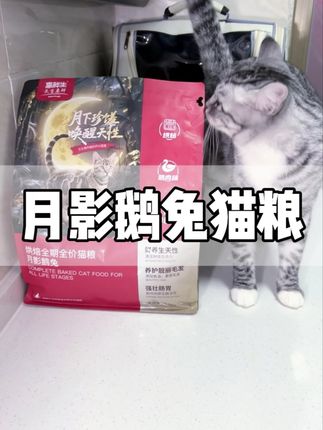 这款鲜肉含量高达80%以上的猫粮居然可以激活猫咪的狩猎天性,还不试试嘛?!#高鲜生 #猫粮 #猫粮推荐 #鲜肉猫粮 #换猫粮