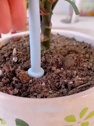 #植物缓释片#缓释片#植物通用#花卉绿植#爱生活爱养花