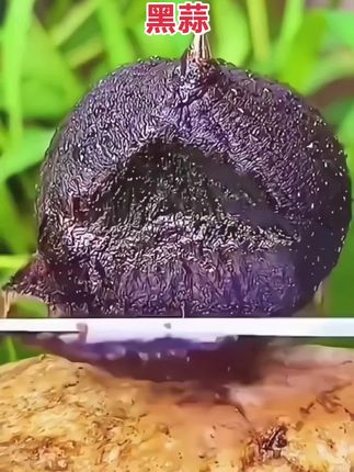 还有没吃过黑蒜的吗?真的很好吃,煲汤味道鲜美,没有异味,营养价值高,喝过一次就喜欢上了,还没喝过的人真的可以试试#黑蒜 #滋补养生食材 #营养丰富 #味道好极了 #快来一起尝个鲜