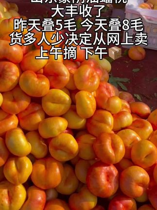 蒙阴彩虹油蟠桃,硬吃脆甜可口,放软吃软糯香甜#新鲜采摘 #应季水果 #优质农产品 #新鲜采摘新鲜发货 #快来一起尝个鲜