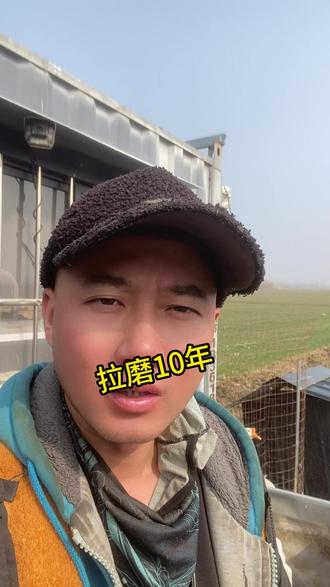 驴拉磨十年是累积经验还是为了闭眼拉磨! #大实话