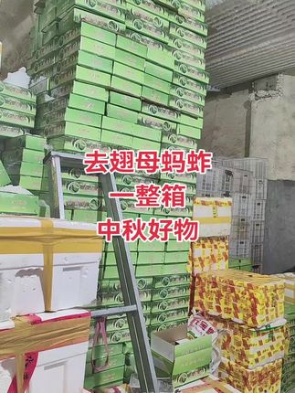 去翅母蚂蚱一整箱#优质农产品 #中秋好物 #中秋团圆 #酥脆#厂家直发 #农家