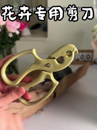 #穿搭 #显瘦穿搭 #小个子穿搭 #裤子 #夏季穿搭