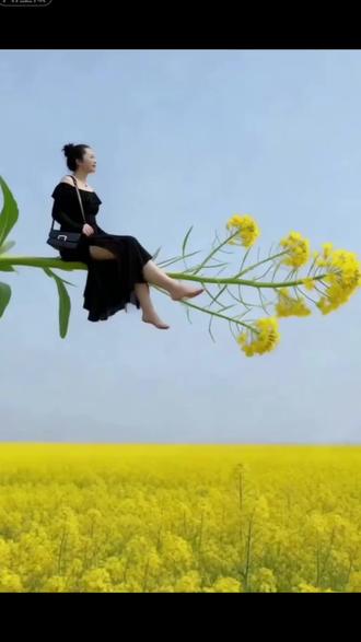 ai油菜花上坐一会儿视频制作教程来了 #油菜花 #剪映 #油菜花特效 #油菜花视频油菜花上坐一坐视频制作ai油菜花上坐一会儿特效教程ai油菜花上坐一会儿模版ai一键生成油菜花上坐一会视频油菜花ai视频ai油菜花视频素材油菜花上坐特效
坐在油菜花视频视频制作 油菜花拍照
