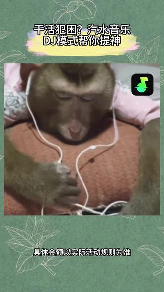 #汽水音乐#音乐推荐