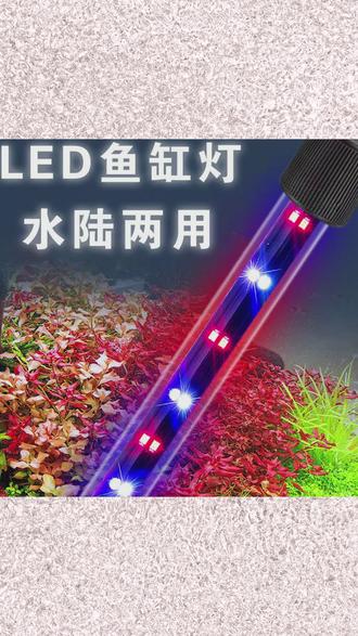 水族箱定制潮流:打造梦想中的海洋世界