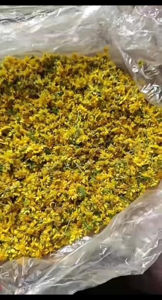 艾叶,配野菊花,泡脚,有好多功效。