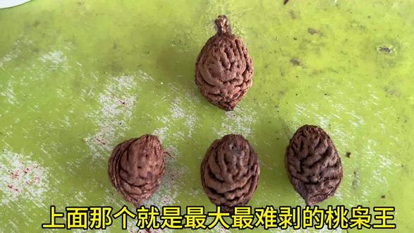 桃枭取东南枝沉水最佳#桃枭 #民间故事 #植物科普 #驱邪