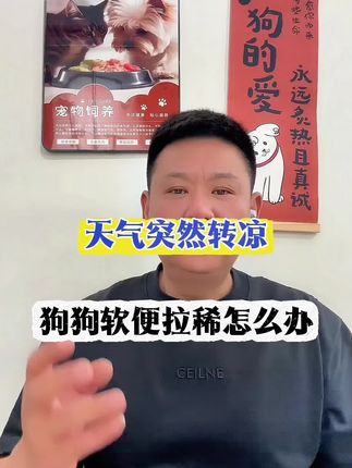 天气突然转凉,狗狗肠胃出问题 #养狗经验分享 #新手养宠 #养狗人 #宠物益生菌