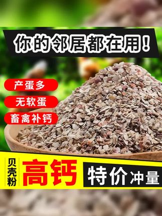 高钙贝壳粉鸡鸭鹅饲料鸽子畜禽补钙壮骨专用牡蛎粉预混料添加剂 #高钙贝壳粉 #捡鸡蛋的幸福生活 #我要上热门 #养鸡人 #养鸡小妙招