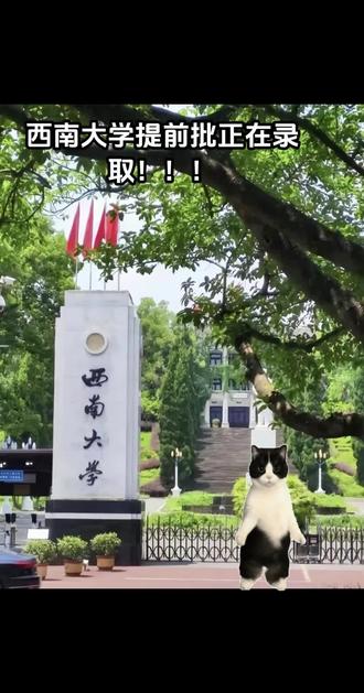 西南大学提前批正在录取!家长和考生最关心的5个问题,一次性说清:
什么时候能查录取结果?各省7月10日-20日陆续更新,以省考试院官方查询为准
公费师范生真的包编制吗?免学费、发补助、毕业带编制,但需定向履约6年,违约记入诚信档案
普通批多少分能上?别只看最低投档线,王牌师范专业比学校最低分高40-80分
两个校区差别大吗?北碚是主校区,绝大多数王牌专业都在这;荣昌校区以动物科学、动物医学类为主
服从调剂会被分到冷门专业吗?有概率,填报前一定要做好分数预案,别看好专业组,盲目冲学校
还有更多报考细节、入学注意事项没说透,不管是查录取、选专业、避坑,关注+私信,你的问题我挨个解答。
#提前批 #2026高考 #西南大学 #西南大学录取 #公费师范生
