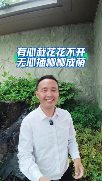 有心栽花花不开,无心插柳柳成荫。