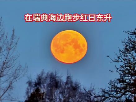 华为手表同时按上键和下键,可以截屏手表屏幕上显示的当天跑步、运动的距离、配速、路线轨迹、运动所用的时间、消耗的热量。佳明手表没有这个功能,高驰手表也可以截屏,不知道颂拓、宜准、小米、华米、OOPO、VIVO、MEIZU等等运动手表,有没有截屏功能?华为手表一边跑步或骑行,同时在屏幕上显示当前的运动路线轨迹,便于在野外迷路时,按来的轨迹返回出发地。华为手表内嵌高德地图和谷歌地图,如果在国内,手表自动选择高德地图。如果在国外,手表自动选择谷歌地图。在全世界任何国家,都可以使用谷歌地图导航。佳明965、飞七、飞八手表,也内嵌国内地图和谷歌地图。华为手表的地图是黑白灰度地图,佳明手表是彩色地图。我喜欢黑白灰度地图,不喜欢彩色炫彩地图,因为彩色地图看起来太乱,看不清你当前的路线轨迹。黑白地图恰恰突出显示你当前的运动轨迹。当然每个人各有所爱,有的人喜欢彩色地图。
早晨在瑞典马尔默海边跑步10公里,大海对面是丹麦首都哥本哈根。然后跑步进入马尔默市中心的隆德大学临床教学中心和附属医院,看到医生护士们走出大楼,穿着短袖单衣和单裤,气温4度,难道他们不怕冷吗?
夜间我的静息心率37,太低了,原因:1是我年龄大,69岁了。二是坚持跑步40年,每天有氧跑2小时,每天平均15公里以上,打磨心脏的有氧跑步耐力。
