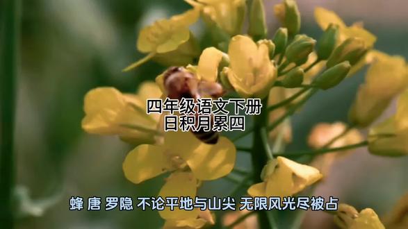 四年级语文下册 日积月累四,关注老师,跟着老师一起学习。#明天会更好 #每天学习一点点 #古诗词