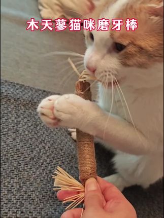 #萌到爆炸了💥 #动物@dou+小助手 #猫咪成长记 #治愈猫咪 @DOU+小助手 #撸猫有一套