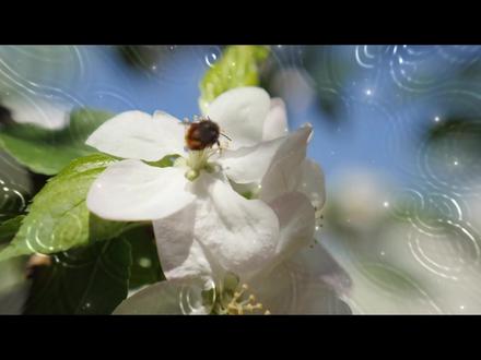 今天8步学会蒙版翻页!超简单的! #剪辑教程 #新手必看 #蒙版 #青年创作者扶持计划