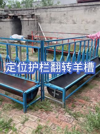 #羊槽输送带 #组装翻转羊槽 #牛羊养殖水槽