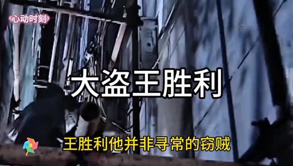 大盗王胜利只偷贪官,被偷贪官竟统统不敢报警!大家怎么看?