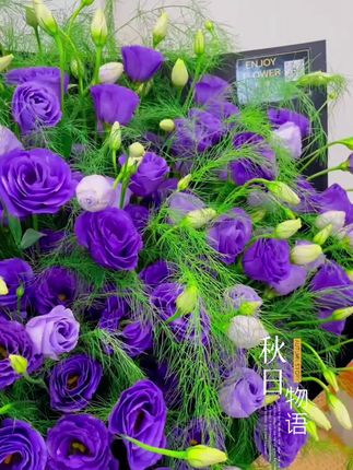 #紫色洋桔梗鲜花 自带松弛感的卢荀草+紫色洋桔梗鲜花,这也太好看了吧#紫色浪漫 #卢荀草 #养花的乐趣 #洋桔梗