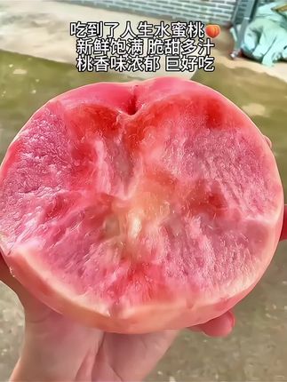拥有春蜜脆桃的快乐谁懂啊!收到男朋友送的人生水蜜桃🍑!一口咬下去满嘴爆汁,脆甜多汁,桃香浓郁,根本停不下来!#脆桃党 #桃子熟了 #又脆又甜 #快来一起尝个鲜 #优质水果