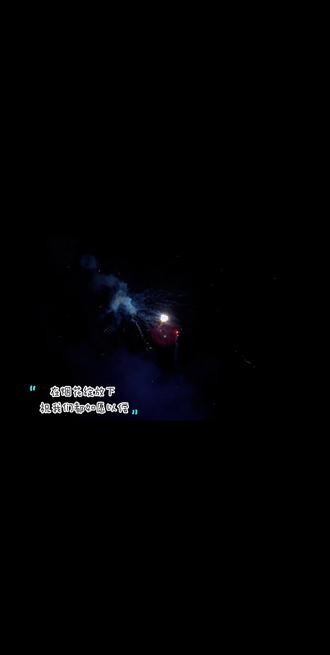 新年快乐(´・ω・ʃƪ)🧨