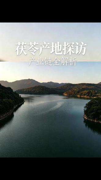 洞悉茯苓产业全貌,依托全链资源,共享大健康时代商机 #茯苓 #养生赛道 #创业项目 #道地茯苓 #乡村振兴