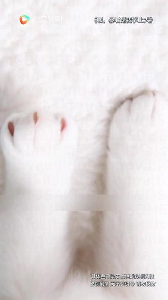 #《嘘暴君是我掌上犬》 #嘘暴君是我掌上犬 #红果短剧 #因为一个片段看了整部剧