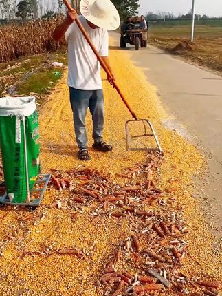 筛土铲镀锌不锈钢漏花生铲子筛粮食网筛子过滤铁锹铲玉米漏铲工具