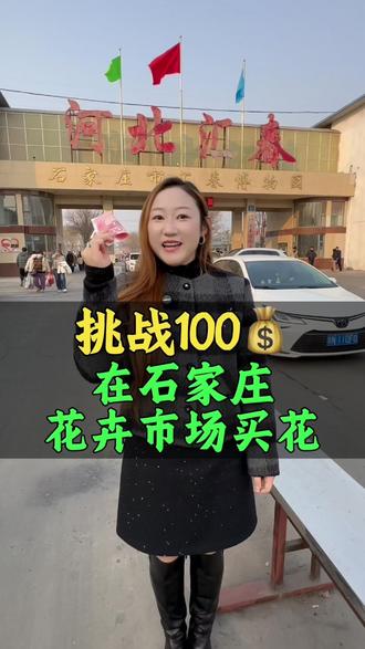 肖家营花卉基地#石家庄冬哥 #冬哥代言石家庄