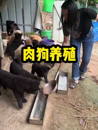 喂狗加一物 狗狗吃的多 不挑食! #养狗经验分享 #狗狗 #萌宠出道计划 #养狗人 #萌宠推荐官 @