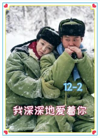 #年代剧推荐 #傅晶 我深深地爱着你12-2