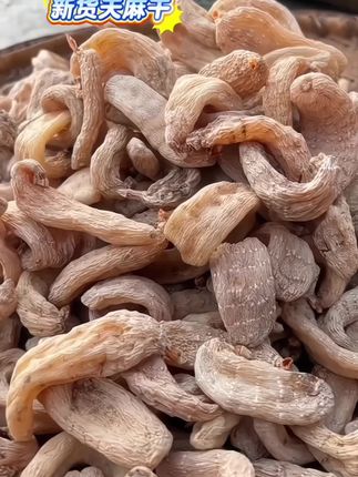 咱家天麻都是生长在大山深处;;三年一个周期!!!无熏硫无染色自然本色天麻~~#天麻炖鸡? #天麻鸽子汤 :#天麻炖排骨 #天麻干