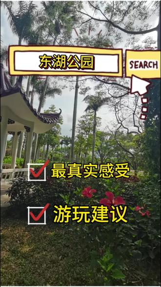 #深圳东湖公园 #格桑花 #春日游玩攻略 #旅行攻略#深圳旅游景点