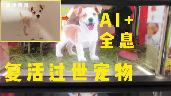 复活狗狗进行曲Part3
清华团队致力于复活宠物
#狗狗
#AI
#全息
#PetVerse
#狗狗去世