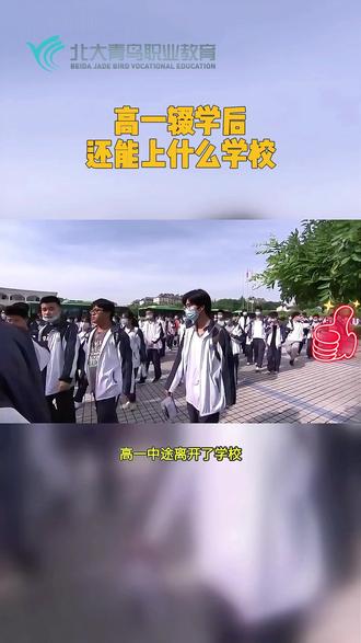 高一中途辍学,还能上哪些正规学校,报考职业技术学校, 能学技术,也能继续升学,#辍学 #家长必看 #职业技校 #职业教育 #技能培训