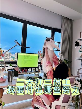 不工作就有钱? 不,我的工作多得不得了#奇思妙想喜羊羊 #努力搬砖