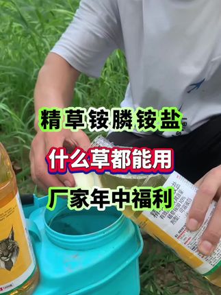 水花生,香附子,牛筋草等。荒地,田埂,果园通用1000毫升大瓶装,可打5亩地#精草铵膦铵盐 #果园清理#农业种植
