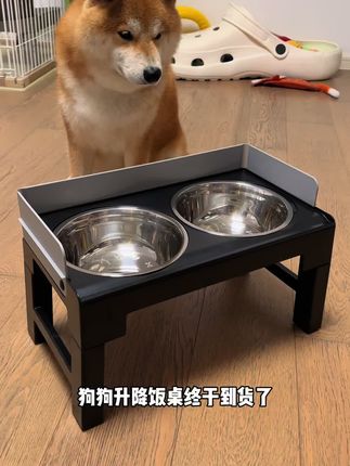 能陪小狗一起长大的饭桌应该就是这种吧~#养狗经验分享 #科学养宠攻略 #狗狗饭桌 #萌宠好物 #在抖音入手的好东西
