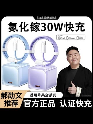 氮化镓30W适用苹果充电器15/16快充iphone12小冰块平板手机通用PD