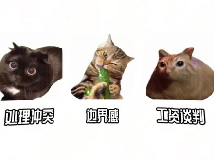 小猫告诉你#1:什么是二八定律? #猫meme #我的世界 #知识分享 #二八定律 #心理学