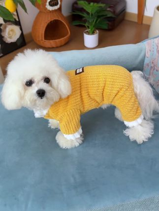 这款绒线衣穿上超好看,软呼呼的面料很舒服#宠物衣服 #萌宠好物 #狗狗衣服 #宠物四角衣 #狗狗