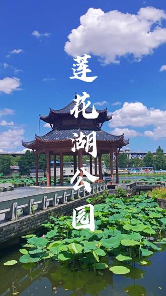 武汉深藏不露的古风打卡地‖汉阳莲花湖公园 汉阳莲花湖公园古称郎官湖,东临长江,北靠龟山,东北与武汉长江大桥相邻。该公园历史悠久,史载为唐代诗人李白赐名,公园内有太白楼、瀑布亭、盆景园、奇石大观园、沿湖石林等10多个景点景观,是一座以纪念李白为主题的公园。
❤️开放时间
06:00 - 21:00
❤️门票价格
目前全年免费
❤️交通路线
🚇地铁
轨道交通6号线,钟家村站E2出口,步行1.2公里
轨道交通4号线,拦江路地铁站D口,步行1.5公里
🚌公交
市内乘坐532、535、553、559、561、711、803、30等多路公交在汉阳大道莲花湖站下车然后步行65米左右即可到达。
🚘自驾
莲花湖公园停车场,汉阳大道锦绣江山停车场,汉阳江滩停车场
❤️拍照机位
📷小南桥
📷太白楼一楼右侧走廊尽头
📷太白楼右侧盆景园
📷湖心九曲桥
📷沿湖小路
❤️周边景点推荐
武汉长江大桥、汉阳江滩、鹦鹉洲长江大桥、晴川阁、铁门关、龟山、古琴台
武汉其他景点打卡攻略可以移步我主页查看
#荷塘美景 #国风古韵 #莲花湖公园 #武汉旅拍摄影师 #武汉旅游攻略